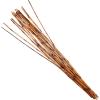 imageDeco 79 Bamboo Wood Sticks Tall Sticks Natural Foliage 7quot x 3quot x 41quot Brown