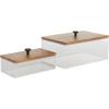 imageDeco 79 Acrylic Plastic Decorative Box Book Shaped Boxes with Wood Lids Set of 2 Decorative Keepsake Boxes 9quot 7quotW ClearClear