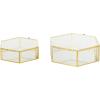 imageDeco 79 Glass Geometric Decorative Jewelry Box Hexagon Jewelry Organizers with Gold Metal Frame and Chain Accent Set of 2 Jewelry Holder 8quot 7quotW Clear8  7W