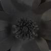 imageDeco 79 Paper Floral Cluster Shadow Box with Varying Shapes and Sizes 20quot x 2quot x 20quot WhiteBlack