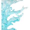 imageDeco 79 Glass Coral Decorative Sculpture Ombre Home Decor Statue with Clear Square Base Accent Figurine 8quot x 4quot x 11quot Blue