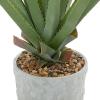 imageDeco 79 Faux Foliage Agave Artificial Plant with Realistic Leaves and Gray Ceramic Pot 27quot x 27quot x 38quot Green
