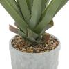 imageDeco 79 Faux Foliage Agave Artificial Plant with Realistic Leaves and Gray Ceramic Pot 27quot x 27quot x 38quot Green