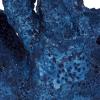 imageDeco 79 Polystone Coral Decorative Sculpture Textured Porous Home Decor Statue with Acrylic Base Accent Figurine 10quot x 9quot x 13quot BlueBlue