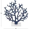 imageDeco 79 Polystone Coral Decorative Sculpture Textured Porous Home Decor Statue with Acrylic Base Accent Figurine 10quot x 9quot x 13quot BlueBlue