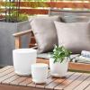 imageDeco 79 Ceramic Indoor Outdoor Planter Small Planter Pot with Attached Saucer Set of 3 Planters 8quot 6quot 5quotH White