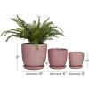 imageDeco 79 Porcelain Ceramic Indoor Outdoor Planter Small Planter Pot with Attached Saucer Set of 3 Planters 8 6 5H GreenPink