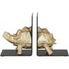 imageCosmoLiving by Cosmopolitan Polystone Turtle Decorative Bookends Non Skid Bookends with Black Stands Set of 2 Office Bookends5quotW 6quotH Brass