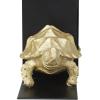 imageCosmoLiving by Cosmopolitan Polystone Turtle Decorative Bookends Non Skid Bookends with Black Stands Set of 2 Office Bookends5quotW 6quotH Brass