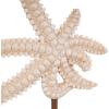 imageDeco 79 Polystone Starfish Decorative Sculpture Textured Home Decor Statue with Copper Stand Accent Figurine 8quot x 4quot x 12quot PinkPink