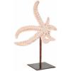imageDeco 79 Polystone Starfish Decorative Sculpture Textured Home Decor Statue with Copper Stand Accent Figurine 8quot x 4quot x 12quot PinkPink