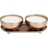 imageDeco 79 Metal Tropical Breeze Scented Double 12 oz 2 Wick Candle with White Wax and Tray Set of 2 10quot W 3quot H Copper