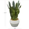 imageDeco 79 Faux Foliage Snake Indoor Outdoor Artificial Plant Fake Plant with Realistic Leaves and White Porcelain Pot Plant 9quot x 11quot x 15quot GreenGreen