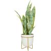 imageDeco 79 Faux Foliage Snake Indoor Outdoor Artificial Plant Fake Plant with White Porcelain Pot and Gold Stand Plant 14quot x 13quot x 25quot Green