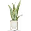 imageDeco 79 Faux Foliage Snake Indoor Outdoor Artificial Plant Fake Plant with White Porcelain Pot and Gold Stand Plant 14quot x 13quot x 25quot Green