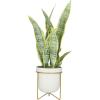 imageDeco 79 Faux Foliage Snake Indoor Outdoor Artificial Plant Fake Plant with White Porcelain Pot and Gold Stand Plant 14quot x 13quot x 25quot Green