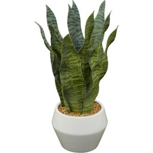 imageDeco 79 Faux Foliage Snake Indoor Outdoor Artificial Plant Fake Plant with Realistic Leaves and White Porcelain Pot Plant 9quot x 11quot x 15quot GreenGreen