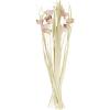 imageDeco 79 Dried Plant Home Decor Natural Foliage Tall Floral Bouquet Natural Dried Foliage with Brown Stems Foliage for Decoration 8quot x 8quot x 41quot CreamPink
