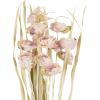 imageDeco 79 Dried Plant Home Decor Natural Foliage Tall Floral Bouquet Natural Dried Foliage with Brown Stems Foliage for Decoration 8quot x 8quot x 41quot CreamPink
