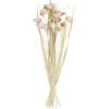 imageDeco 79 Dried Plant Home Decor Natural Foliage Tall Floral Bouquet Natural Dried Foliage with Brown Stems Foliage for Decoration 8quot x 8quot x 41quot CreamPink
