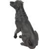 imageDeco 79 Polystone Dog Decorative Sculpture Home Decor Statue Accent Figurine 14quot x 9quot x 20quot Brown