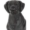 imageDeco 79 Polystone Dog Decorative Sculpture Home Decor Statue Accent Figurine 14quot x 9quot x 20quot Brown