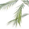 image:imageDeco 79 Faux Foliage Kwai Palm Artificial Plant with Black Round Pot 30 x 32 x 46 Green