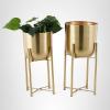 image:imageCosmoLiving by Cosmopolitan Metal Indoor Outdoor Planter Dome Large Planter Pot with Removable Stand Set of 2 Planters 20 22H WhiteGold