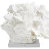 image:imageDeco 79 Polystone Coral Decorative Sculpture Textured Home Decor Statue with Clear Acrylic Base Accent Figurine 12 x 10 x 8 WhiteSMALL SIZE