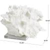 image:imageDeco 79 Polystone Coral Decorative Sculpture Textured Home Decor Statue with Clear Acrylic Base Accent Figurine 12 x 10 x 8 WhiteSMALL SIZE