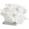 image:imageDeco 79 Polystone Coral Decorative Sculpture Textured Home Decor Statue with Clear Acrylic Base Accent Figurine 12 x 10 x 8 WhiteSMALL SIZE