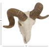 image:imageDeco 79 Polystone Sheep Home Wall Decor Skull Wall Sculpture Wall Art 14 x 5 x 12 White14L x 55W