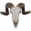image:imageDeco 79 Polystone Sheep Home Wall Decor Skull Wall Sculpture Wall Art 14 x 5 x 12 White14L x 55W