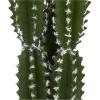 image:imageDeco 79 Faux Foliage Cactus Indoor Outdoor Artificial Plant Fake Plant with Realistic Leaves and Black Round Pot Plant 7 x 7 x 23 Green