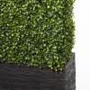 image:imageDeco 79 Faux Foliage Boxwood Hedge Topiary Tall with Realistic Leaves and Black Cement Planter Box 29 x 9 x 66 Green