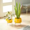 image:imageDeco 79 Metal Indoor Outdoor Planter Small Planter Pot with Removable Stand Set of 2 Planters 8 10H YellowYellow