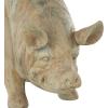 image:imageDeco 79 Resin Pig Indoor Outdoor Planter Small Planter Pot with Distressed Details Planter 16 x 7 x 8 Beige