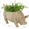 image:imageDeco 79 Resin Pig Indoor Outdoor Planter Small Planter Pot with Distressed Details Planter 16 x 7 x 8 Beige