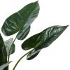 image:imageDeco 79 Faux Foliage Anthurium Artificial Plant with Realistic Leaves and Black Plastic Pot 26 x 27 x 28 Green