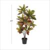 image:imageDeco 79 Faux Foliage Croton Artificial Plant with Realistic Leaves and Black Plastic Pot 27 x 27 x 50 Green
