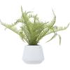 image:imageDeco 79 Faux Foliage Fern Artificial Plant with Realistic Leaves and White Ceramic Pot 18 x 16 x 14 GreenGreen