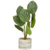 image:imageDeco 79 The Novogratz Faux Foliage Calathea Artificial Plant with Realistic Leaves and Patterned Porcelain Pot 11 x 10 x 16 Green