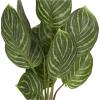 image:imageDeco 79 The Novogratz Faux Foliage Calathea Artificial Plant with Realistic Leaves and Patterned Porcelain Pot 11 x 10 x 16 Green