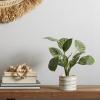 image:imageDeco 79 The Novogratz Faux Foliage Calathea Artificial Plant with Realistic Leaves and Patterned Porcelain Pot 11 x 10 x 16 Green