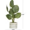 image:imageDeco 79 The Novogratz Faux Foliage Calathea Artificial Plant with Realistic Leaves and Patterned Porcelain Pot 11 x 10 x 16 Green