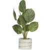 image:imageDeco 79 The Novogratz Faux Foliage Calathea Artificial Plant with Realistic Leaves and Patterned Porcelain Pot 11 x 10 x 16 Green