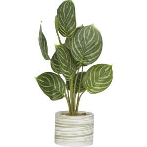 image:imageDeco 79 The Novogratz Faux Foliage Calathea Artificial Plant with Realistic Leaves and Patterned Porcelain Pot 11 x 10 x 16 Green