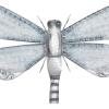 image:imageDeco 79 Metal Dragonfly Home Wall Decor Indoor Outdoor Wall Sculpture Wall Art 25 x 1 x 16 Blue
