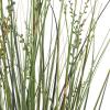 image:imageDeco 79 Faux Foliage Onion Grass Artificial Plant Tall with Black Plastic Pot 26 x 26 x 61 Green20 x 20 x 60