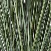 image:imageDeco 79 Faux Foliage Onion Grass Artificial Plant Tall with Black Plastic Pot 26 x 26 x 61 Green26 x 26 x 61